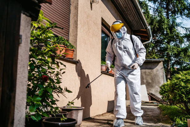 Best Best Pest Control Near Me  in Mount Angel, OR