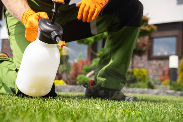 Pest Prevention Services in Mount Angel, OR