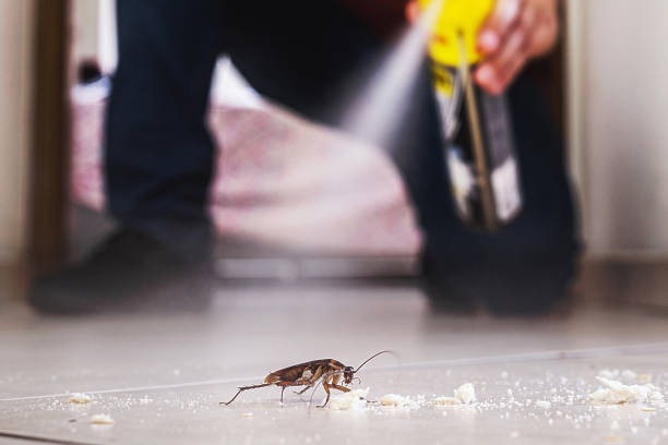 Pest Control for Restaurants in Mount Angel, OR